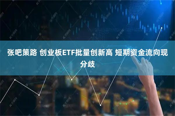 张吧策路 创业板ETF批量创新高 短期资金流向现分歧